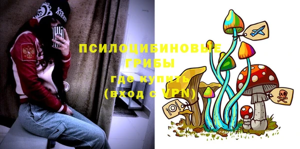 бошки Алзамай